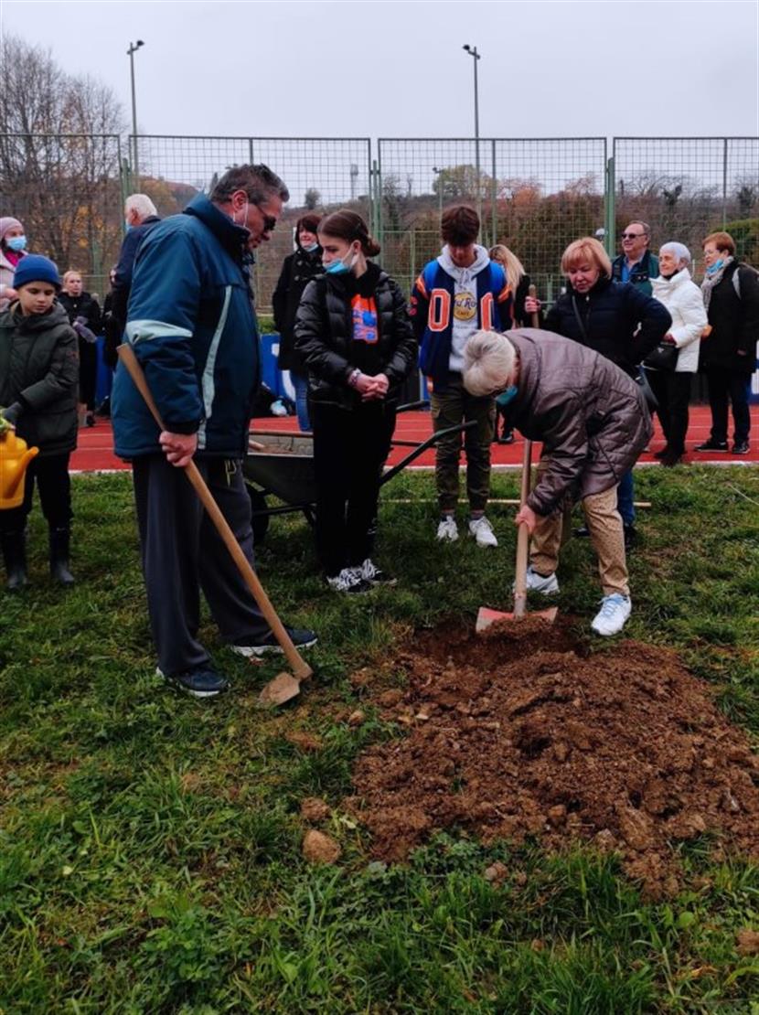 Slika: ZASADI STABLO, NE BUDI PANJ