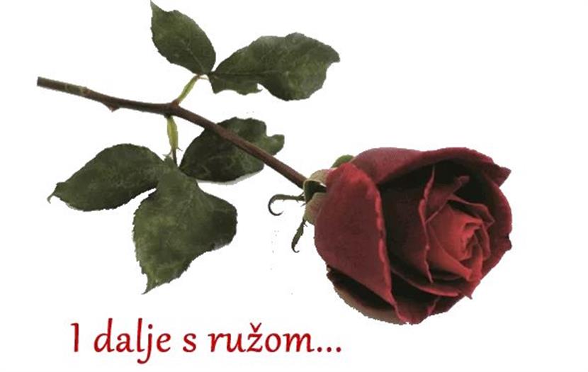 Slika: NACIONALNI DAN INVALIDA RADA HRVATSKE - 21. OŽUJAK